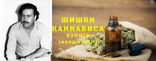 гидропоника Осинники