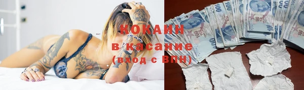 прущая мука Пересвет