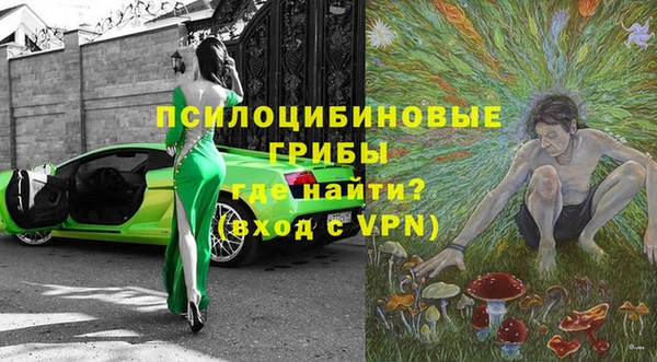 ПСИЛОЦИБИНОВЫЕ ГРИБЫ Переславль-Залесский