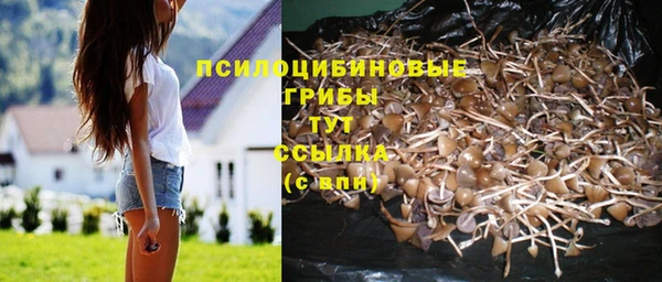 прущая мука Пересвет