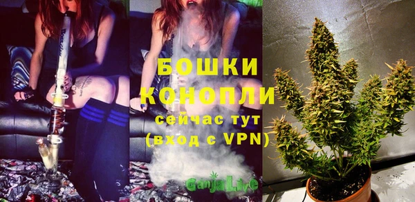 ПСИЛОЦИБИНОВЫЕ ГРИБЫ Переславль-Залесский