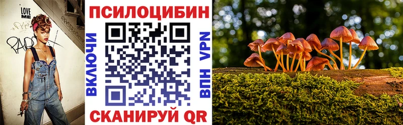 Псилоцибиновые грибы MAGIC MUSHROOMS хочу гидра ссылки Сафоново