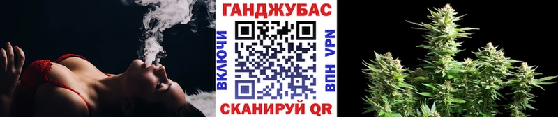OMG онион  Сафоново  Конопля ГИДРОПОН 